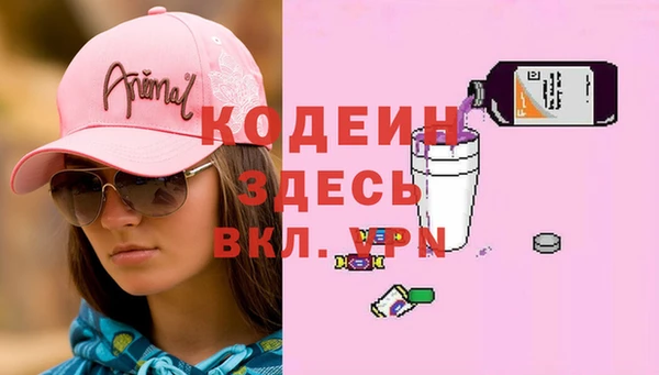 дурь Осташков