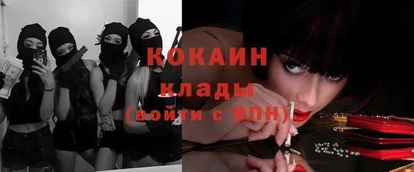 ГАЛЛЮЦИНОГЕННЫЕ ГРИБЫ Остров