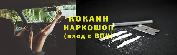спиды Няндома