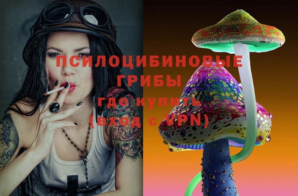твердый Нягань