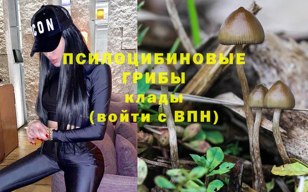 спиды Няндома