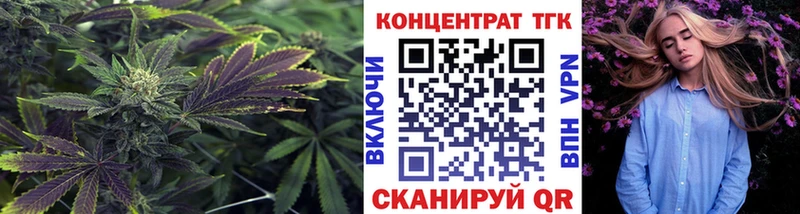 Дистиллят ТГК THC oil  Купить закладки  Алушта 