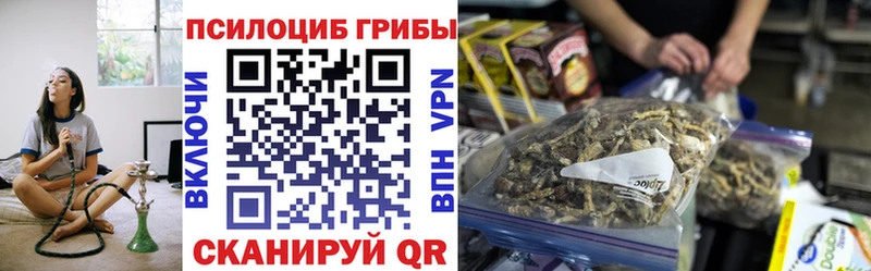 Купить закладки Алушта Псилоцибиновые грибы прущие грибы